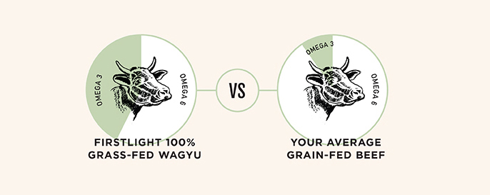 Infographic of how Omega 3:6 ratios in Firstlight Wagyu are superior to those of grain-fed beef